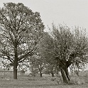 000 1A-altmark-2004-analog  altmark sachsen-anhalt 2004 - landschaft natur - analog : landschaft, natur, altmark 2004, analog-photo