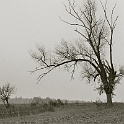 009 10A-altmark-2004-analog  altmark sachsen-anhalt 2004 - landschaft natur - analog : landschaft, natur, altmark 2004, analog-photo