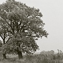 013 14A-altmark-2004-analog  altmark sachsen-anhalt 2004 - landschaft natur - analog : landschaft, natur, altmark 2004, analog-photo