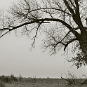 014 15A-altmark-2004-analog  altmark sachsen-anhalt 2004 - landschaft natur - analog : landschaft, natur, altmark 2004, analog-photo