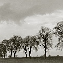 022 23A-altmark-2004  altmark sachsen-anhalt 2004 - landschaft natur - analog : landschaft, natur, altmark 2004, analog-photo