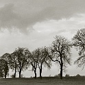 022 23A-altmark-2004  altmark sachsen-anhalt 2004 - landschaft natur - analog : landschaft, natur, altmark 2004, analog-photo