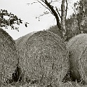 034 35A-altmark-2004-analog  altmark sachsen-anhalt 2004 - landschaft natur - analog : landschaft, natur, altmark 2004, analog-photo