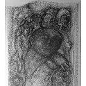 11-federzeichnung-26.8.1967  artfragmente repros mit digitalkamera : art, artfragmente, zeichnung-malerei