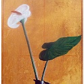 31-calla-10.mai.1999  artfragmente repros mit digitalkamera : art, artfragmente, zeichnung-malerei