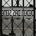 buchenwald_2007