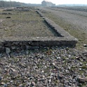 DSC 6646-buchenwald