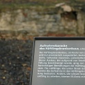 DSC 6721-buchenwald