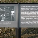 DSC 6748-buchenwald