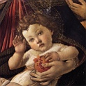 41pomegr  BOTTICELLI, Sandro