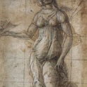 5pallas  BOTTICELLI, Sandro