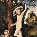 11venus  CRANACH Lucas