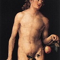 2adam  DÜRER