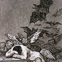 43capric  GOYA