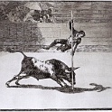 904tauro  GOYA