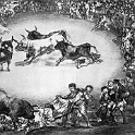 910bulls  GOYA