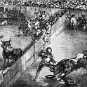 911bulls  GOYA