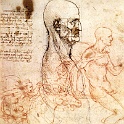 06head1  LEONARDO da vinvi