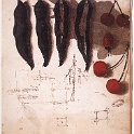 08fruit  LEONARDO da vinvi