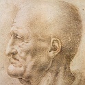 10oldman  LEONARDO da vinvi