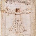 1vitruviu  LEONARDO da vinvi