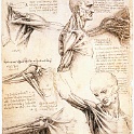 3should1  LEONARDO da vinvi
