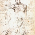 3should2  LEONARDO da vinvi
