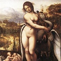 5leda  LEONARDO da vinvi