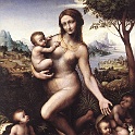 6leda  LEONARDO da vinvi