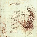 6organ  LEONARDO da vinvi