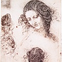 7leda2  LEONARDO da vinvi
