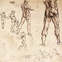 7legs1  LEONARDO da vinvi