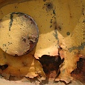 DSCN6962-2003-06-27