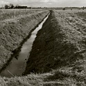 DSCN2098-altmark-2004  altmark sachsen-anhalt 2004 - landschaft natur - digital : landschaft, natur, altmark 2004, digital-photo