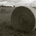 DSCN2118-altmark-2004  altmark sachsen-anhalt 2004 - landschaft natur - digital : landschaft, natur, altmark 2004, digital-photo