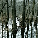 H 00000042-2007-03-30
