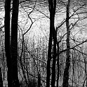 H 00000046-2007-03-30