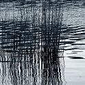 H 00000053-2007-03-30