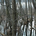 H 05700138