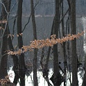 H 05700139