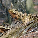 H 05700158