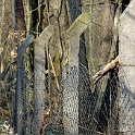 H 05700173-berlin-muehlenbeck