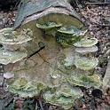 H 05700194