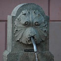 DSC 6511