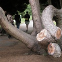 DSCN7484-2006-08-01
