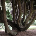DSCN7486-2006-08-01