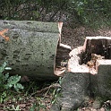 DSCN7569-2006-08-01