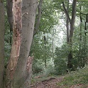DSCN7576-2006-08-01