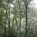 DSCN7593-2006-08-01