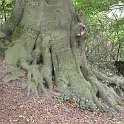 DSCN7608-2006-08-01